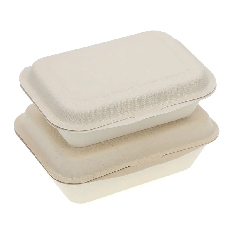 Container de Alimento Descartável de Bagasse para Comida para Viagem 9*6 Polegada Caixa Clamshell Cor Natural