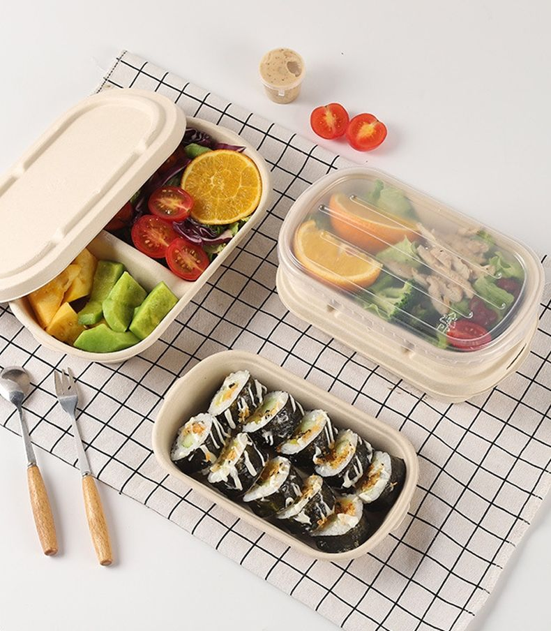 Embalagem de Pulpas de Cana-de-Açúcar Recicladas para Alimentos para Viagem, Caixa de Almoço para Salada