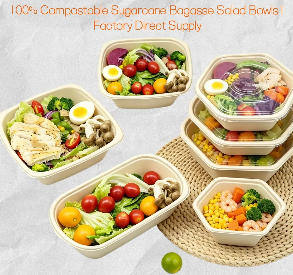 Bols de Papel de Salada Ecológicos de Bagasse de Cana-de-Açúcar para Viagem 350ml Recipiente de Embalagem para Restaurante