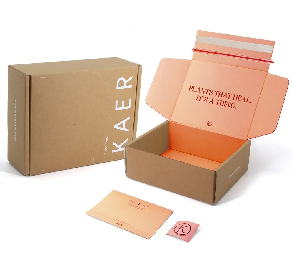 Caixa de Envio de Papelão Corrugado com Logotipo Personalizado Impresso para Fechamento de Orelha