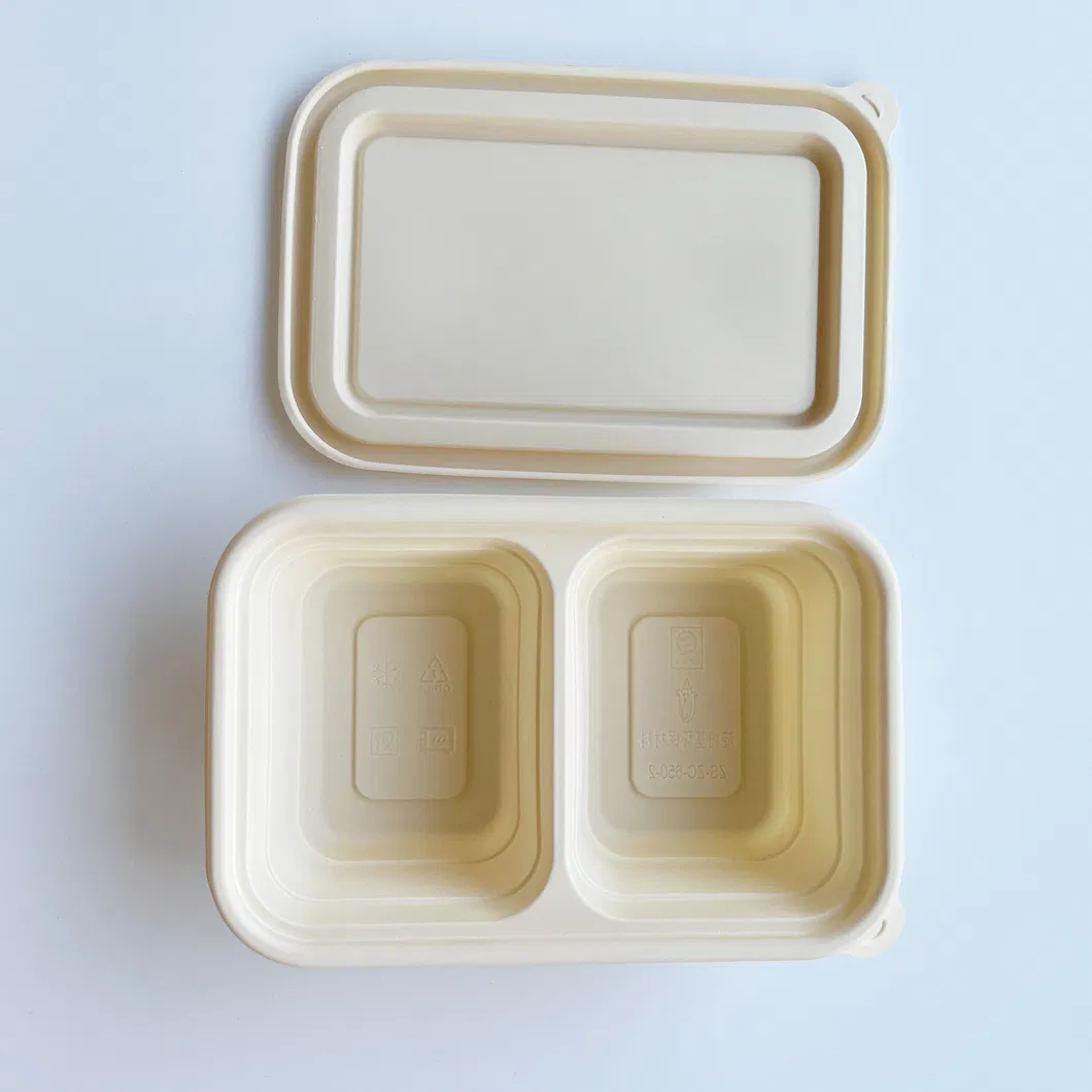Atacado 100% Biodegradável Compostável Personalizado Papel Polpa Cana-de-açúcar Embalagem para Alimentos para Viagem