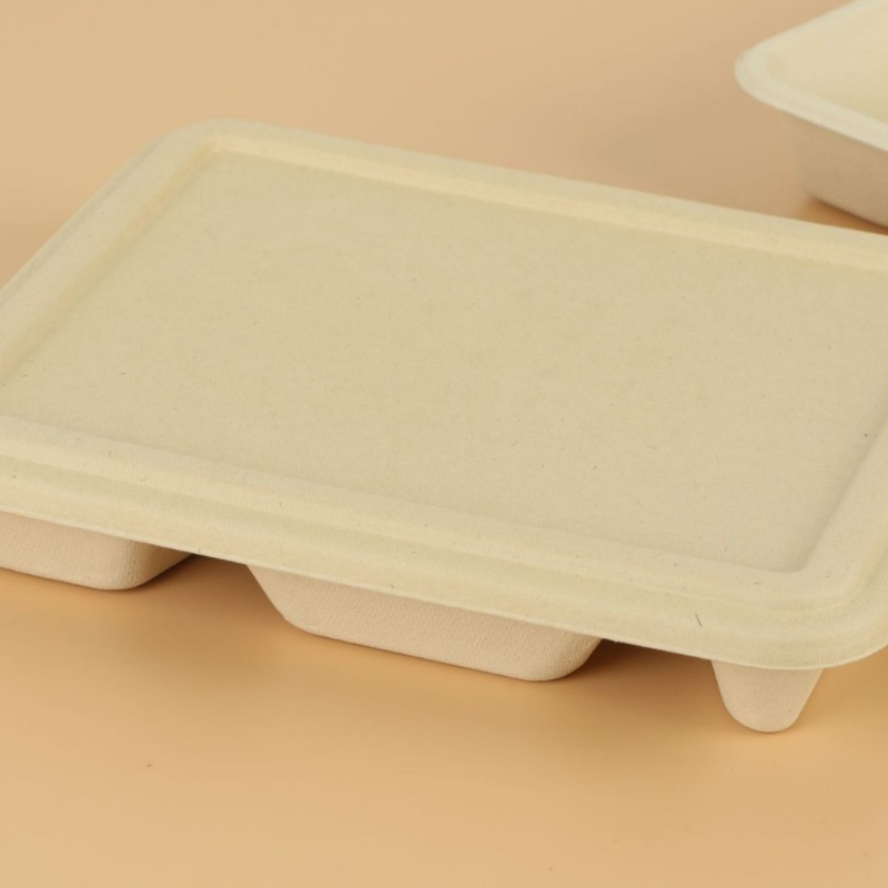 Caixa de Alimentos Descartável Biodegradável Compostável com Logotipo Personalizado Impressa Retangular Recipiente para Almoço Caixa de Almoço Cozinha Piquenique Caixa para Levar