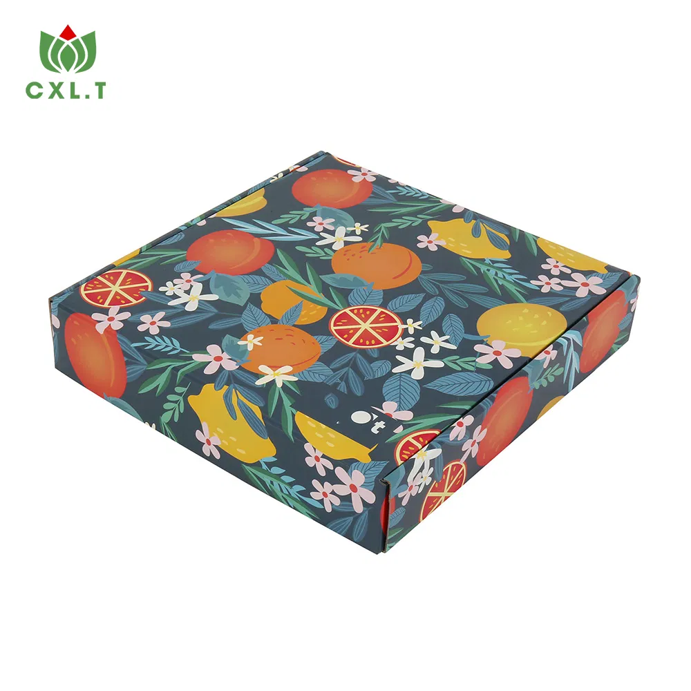 Caixa de papelão corrugado para pizza personalizada de luxo, atacado, presente, bolo
