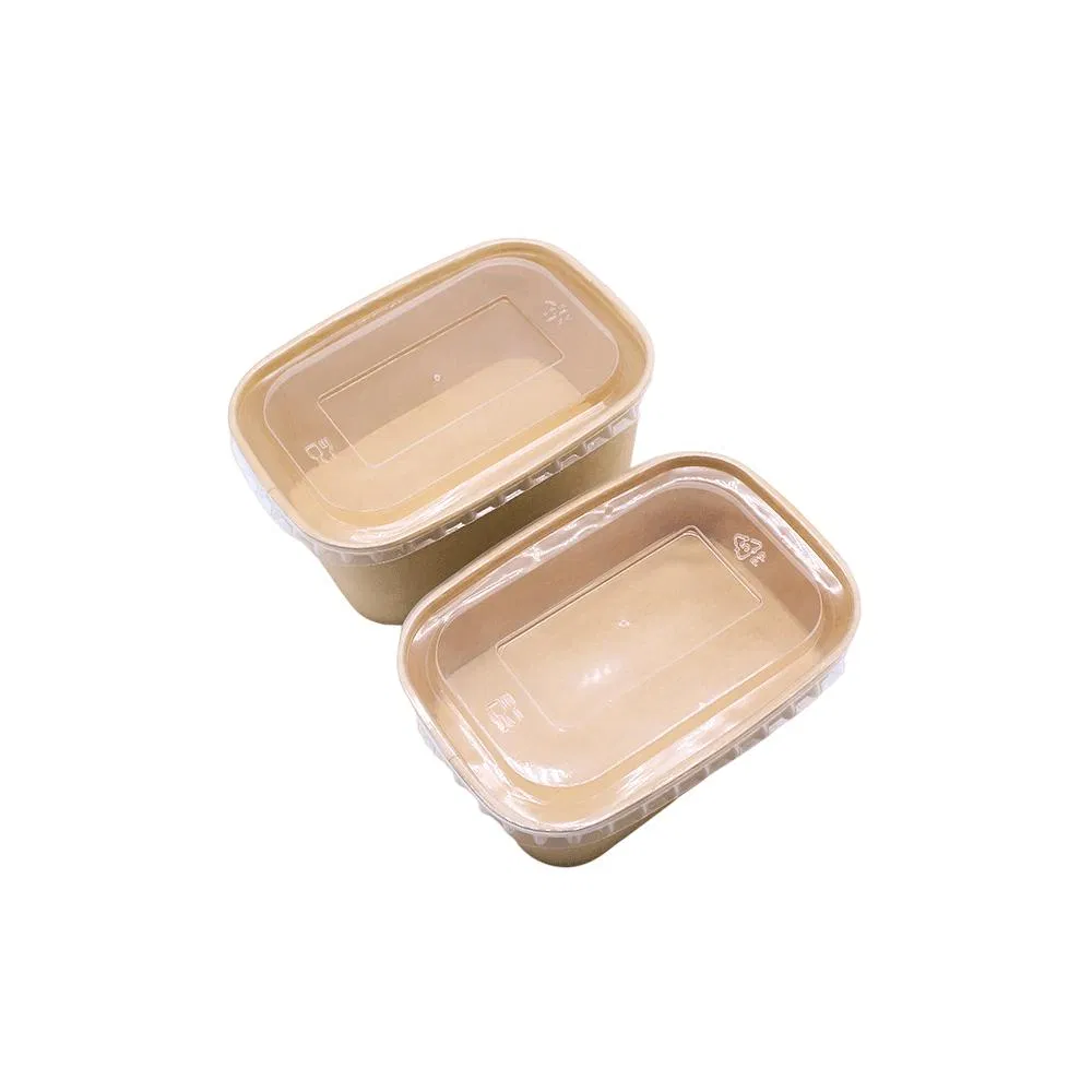 Caixa Para Levar Alumínio Bagasse Papel Polpa Biodegradável Recipiente para Alimentos