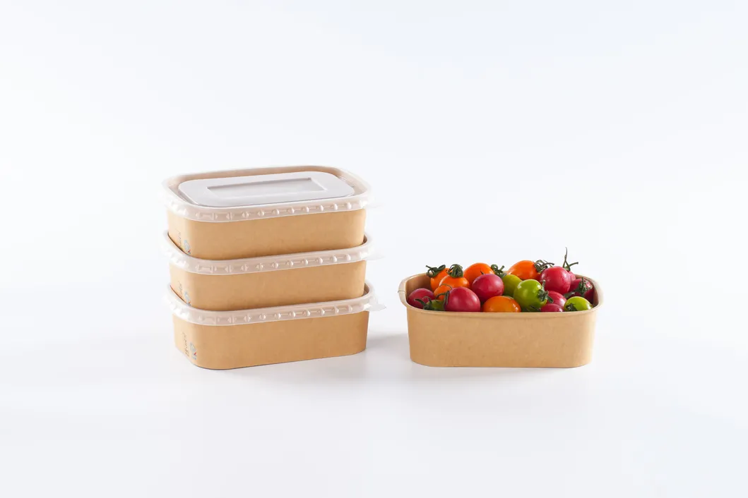 Caixa Para Levar Alumínio Bagasse Papel Polpa Biodegradável Recipiente para Alimentos