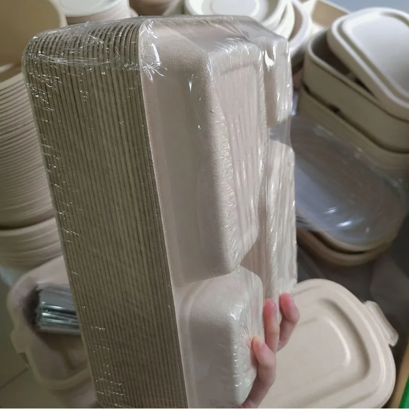 Caixa de Alimentos Descartável Biodegradável Compostável com Logotipo Personalizado Impressa Retangular Recipiente para Almoço Caixa de Almoço Cozinha Piquenique Caixa para Levar
