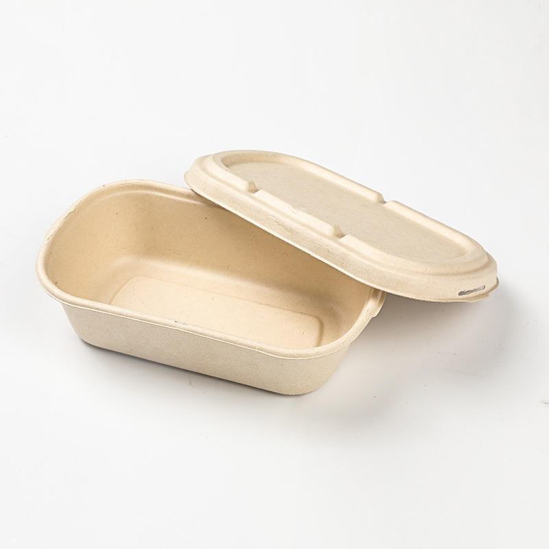Embalagem de Pulpas de Cana-de-Açúcar Recicladas para Alimentos para Viagem, Caixa de Almoço para Salada