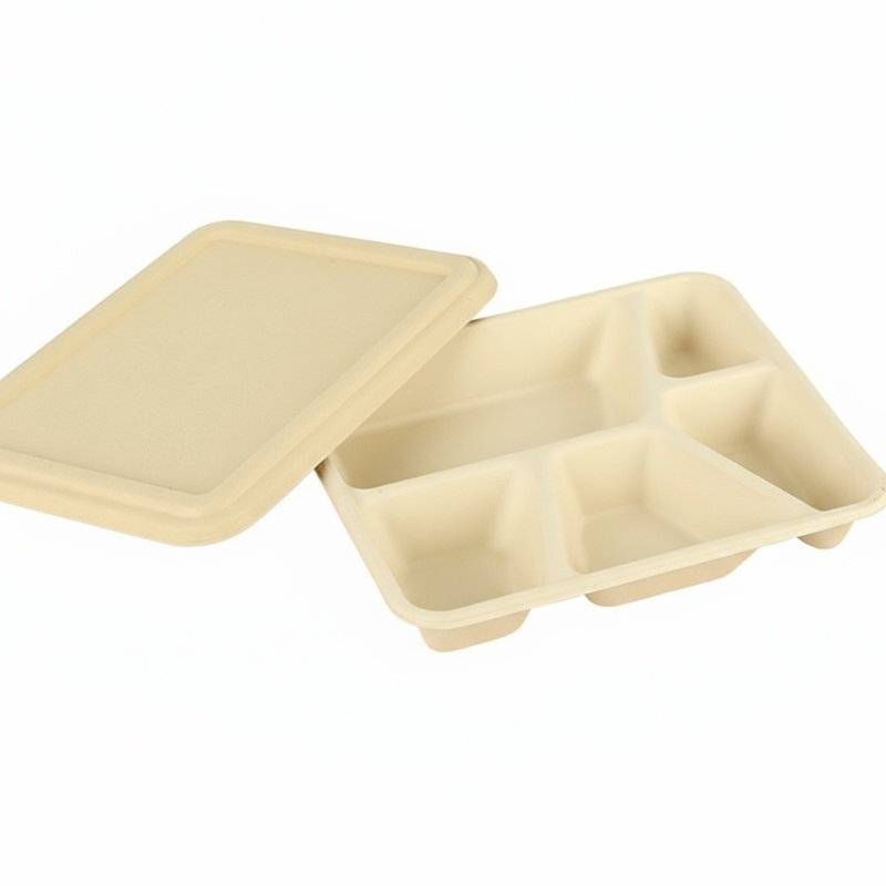 Caixa de Alimentos Descartável Biodegradável Compostável com Logotipo Personalizado Impressa Retangular Recipiente para Almoço Caixa de Almoço Cozinha Piquenique Caixa para Levar