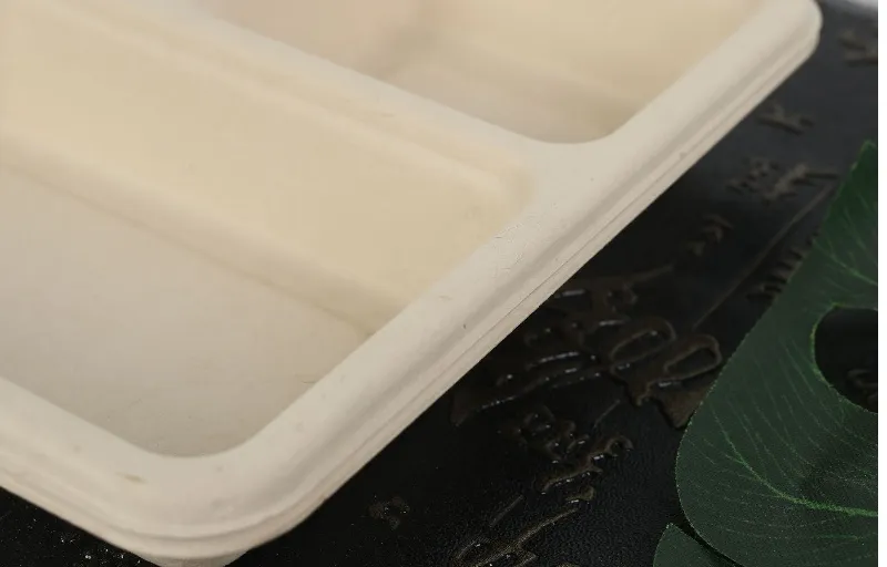 Caixa de Alimentos Descartável Biodegradável Compostável com Logotipo Personalizado Impressa Retangular Recipiente para Almoço Caixa de Almoço Cozinha Piquenique Caixa para Levar