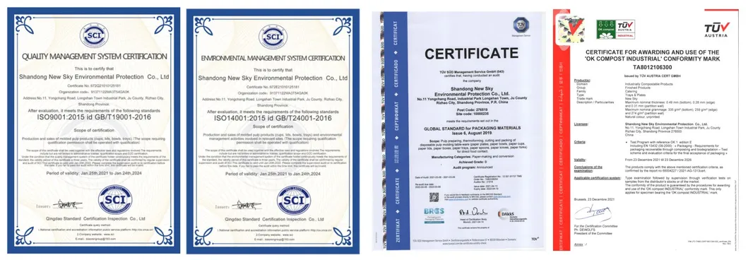 Certificado 1