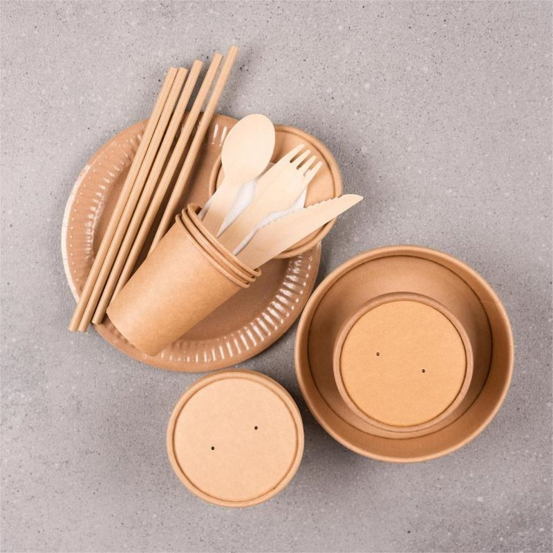 Bowl de sopa quente de noodle descartável compostável biodegradável de papel kraft branco com tampa de PP