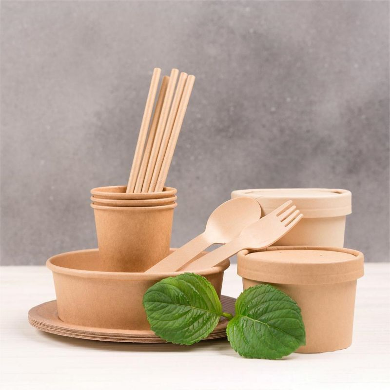 Bowl de sopa quente de noodle descartável compostável biodegradável de papel kraft branco com tampa de PP