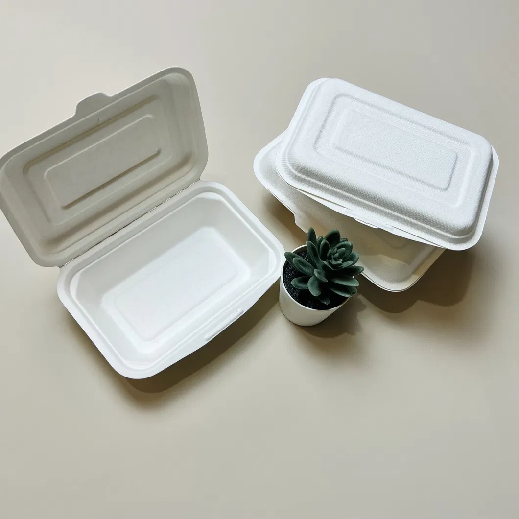 Container de Alimento Descartável de Bagasse para Comida para Viagem 9*6 Polegada Caixa Clamshell Cor Natural