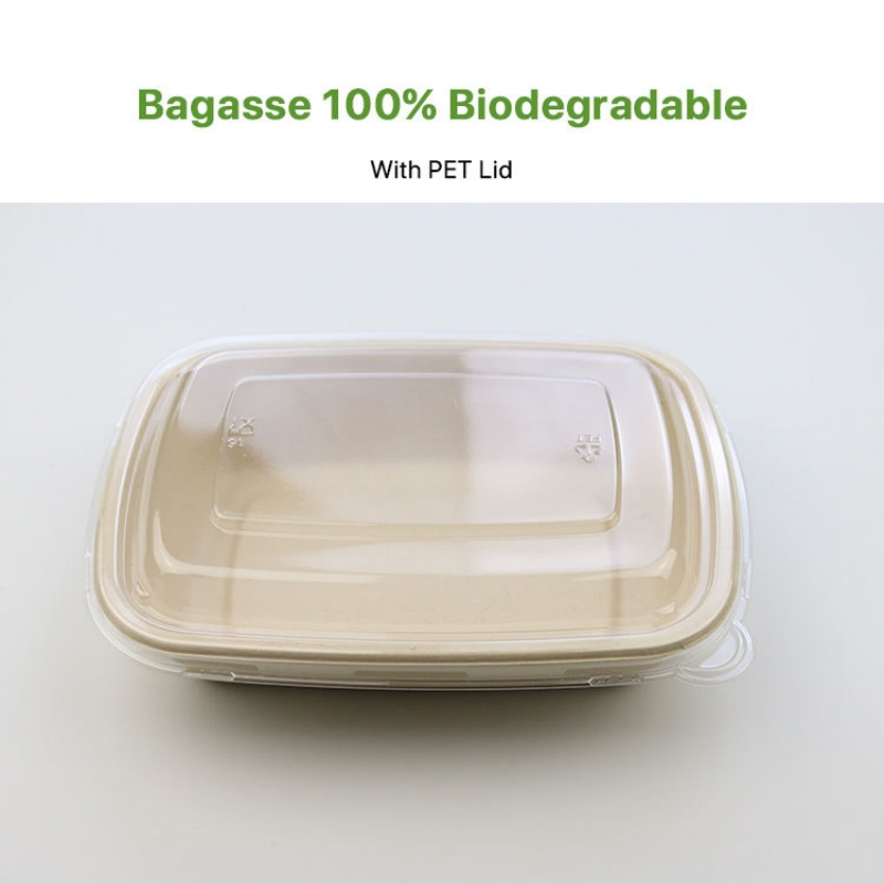 Prato de Papel de Bagaço de Cana-de-Açúcar Descartável para Alimentos e Carnes