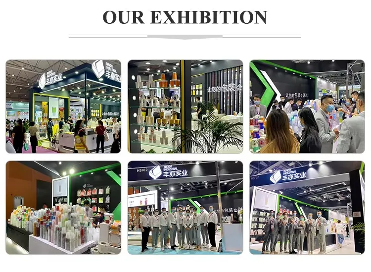 Participação em Exposições