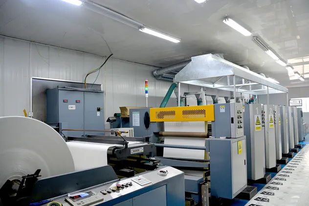 Fabricante Copos de Papel Descartáveis de Parede Simples para Bebidas Quentes e Frias