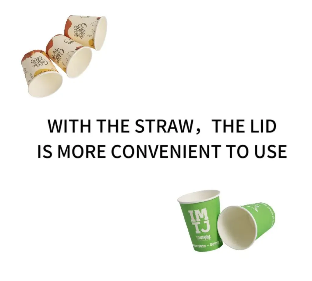 Copo de Papel Frio Biodegradável Descartável 8oz para Bebida Econômico