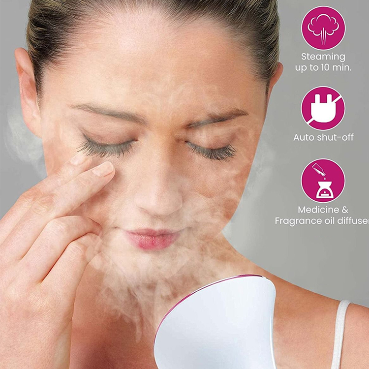 Hot Sale Household Appliances Face Care Vapozone Facial Steamer Professional Other Home Use Beauty Equipment Facial Steamer