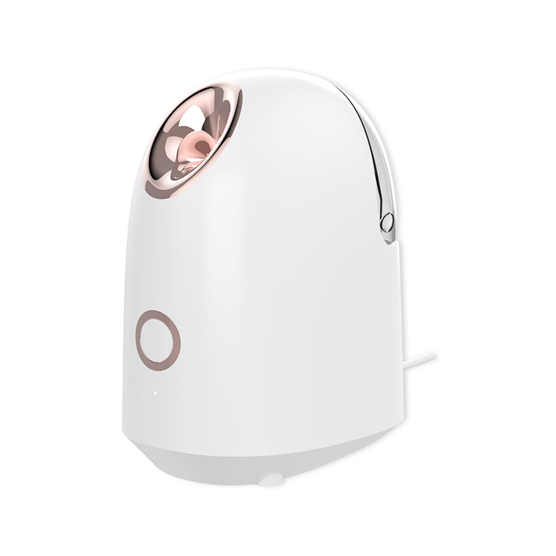 Hot Selling Facial Care Moisturizing Facial Steamer Nano Ionic Handheld Facial Steamer Machine