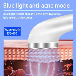 Multifunctional Korean Beauty Equipment Anti-aging Rf Skin Tightening Home Use Beauty Device RF Facial Beauty Equipment