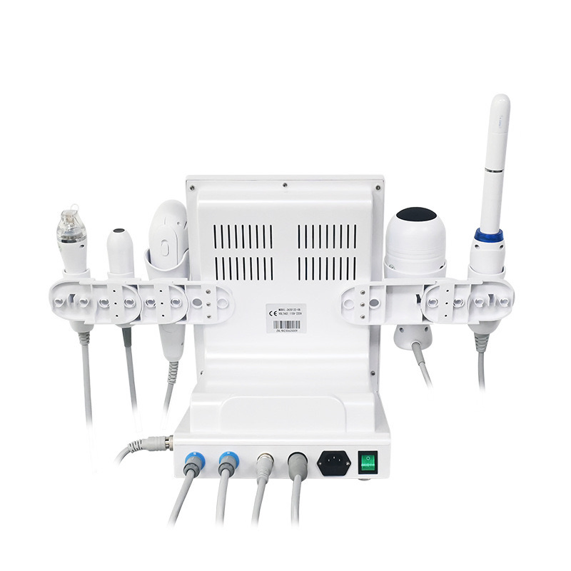 RF Microneedeling Hifu 5 Em 1 Repuesto De Cartuchos Hifu 9d Facial Corporal Ultrasound Machine in Germany 4D Hifu