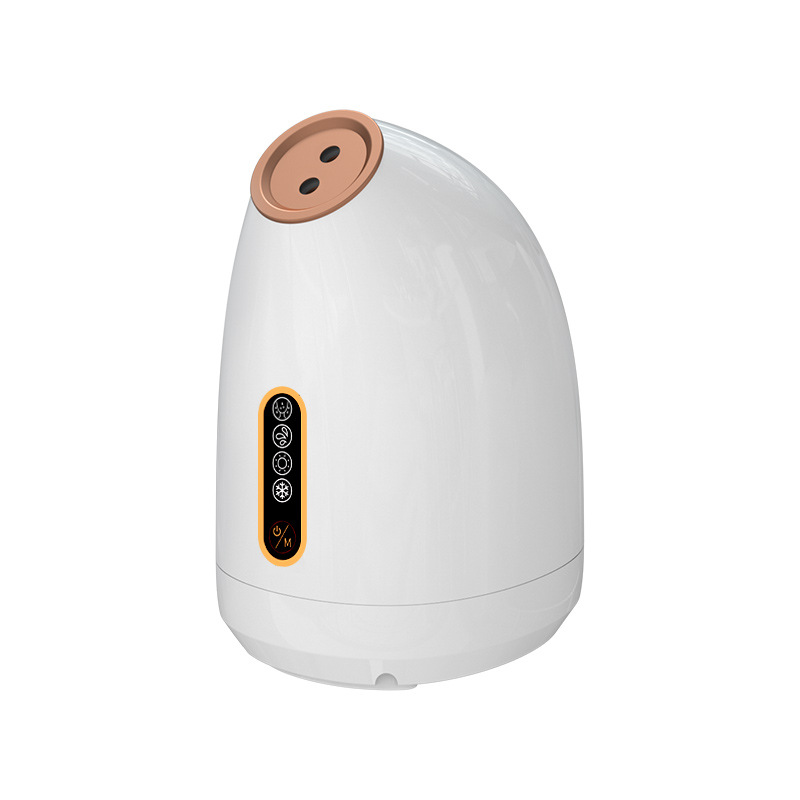 Household Steam Moisturizing Device Hot-and-cold Dual-spray Facial Steamer Intelligent Temperature Control Private Mold