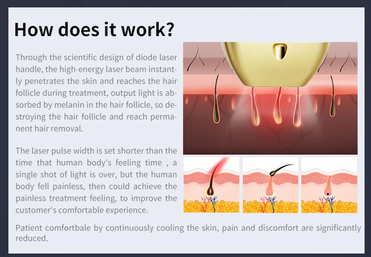 Skin Types Adaptability