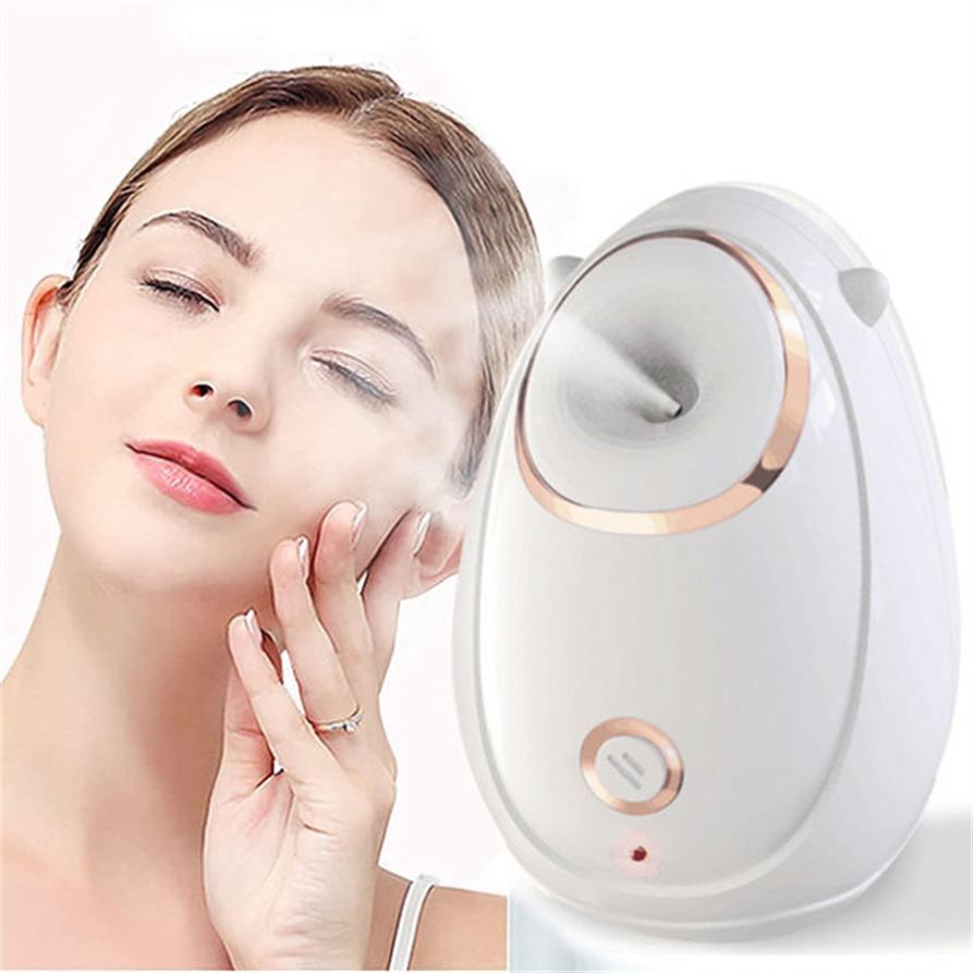 PAKISS High-end Design Ionic Mini Portable Electric Nano Facial Steamer Lightening Moisturizer Nourishing Features for Household