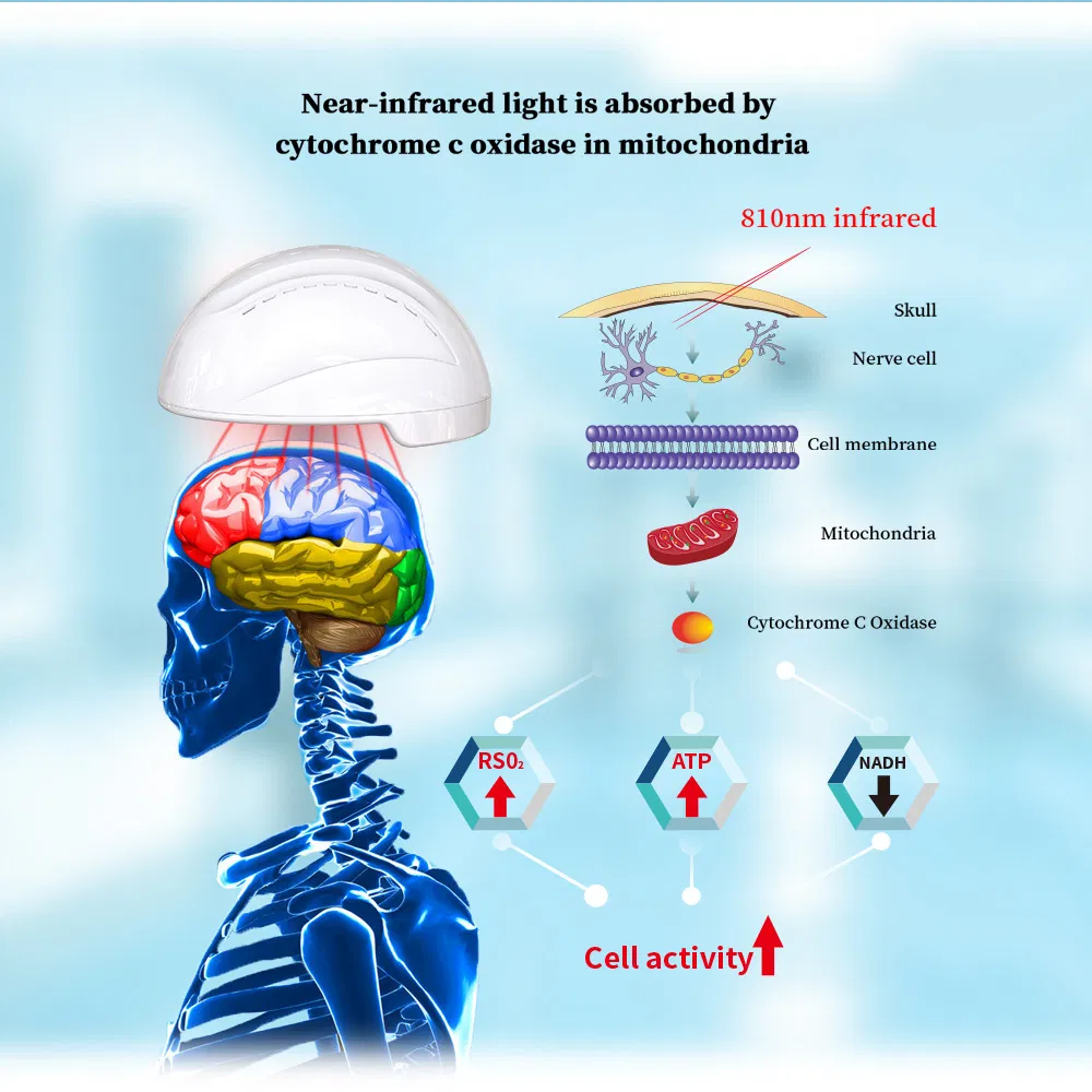 Brain Injury Stroke Headaches Anxiety Depression Red Light Therapy LED Device