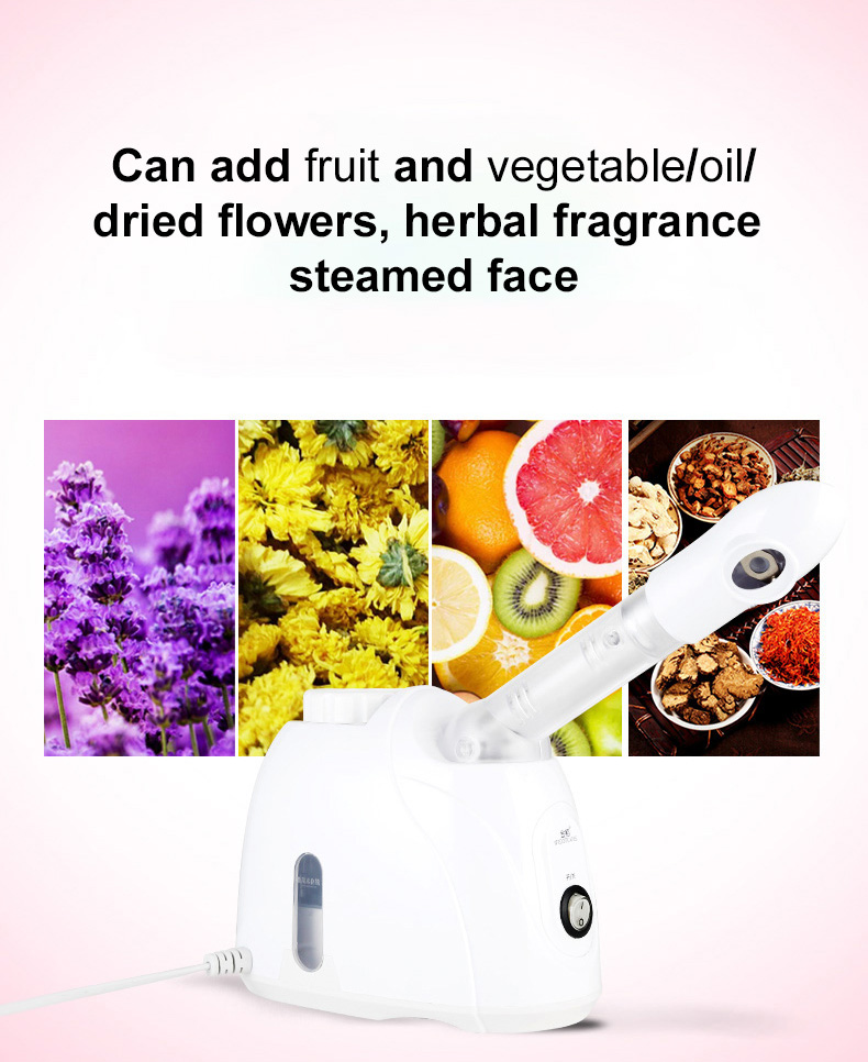 Facial Steamer Showcase 3