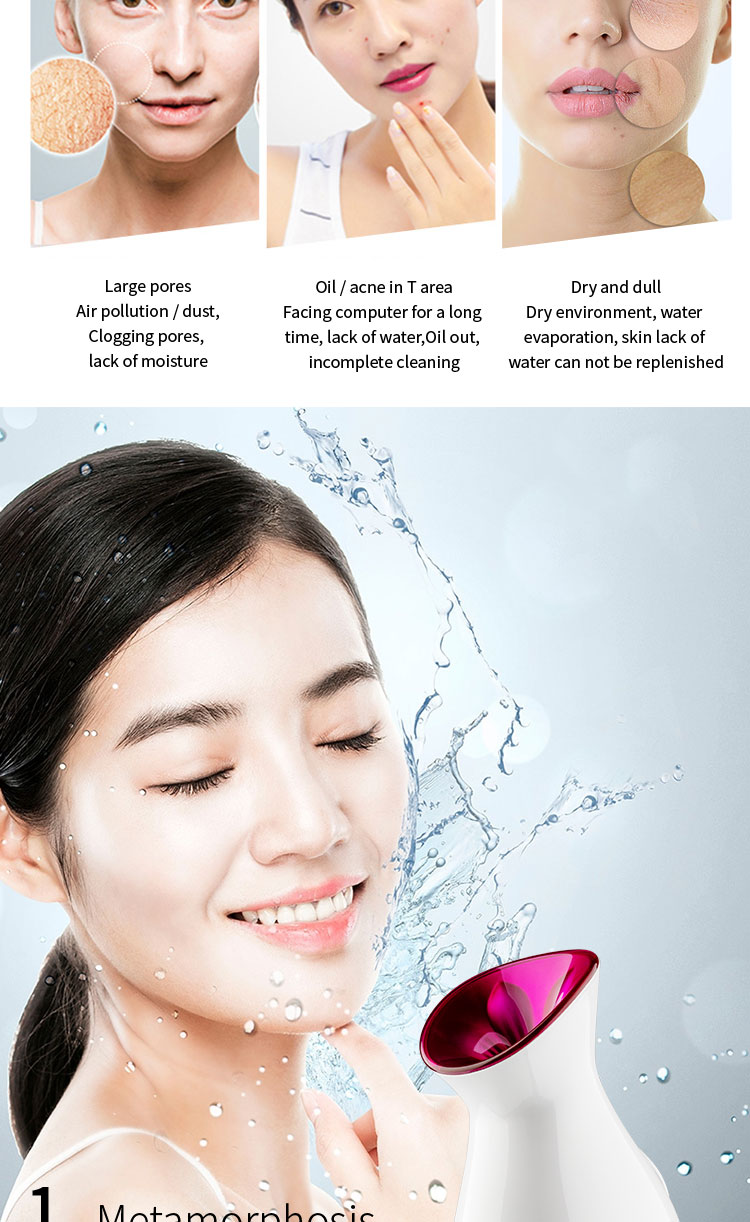Nano Ionic Hot Mist Face Steamer Product View 4
