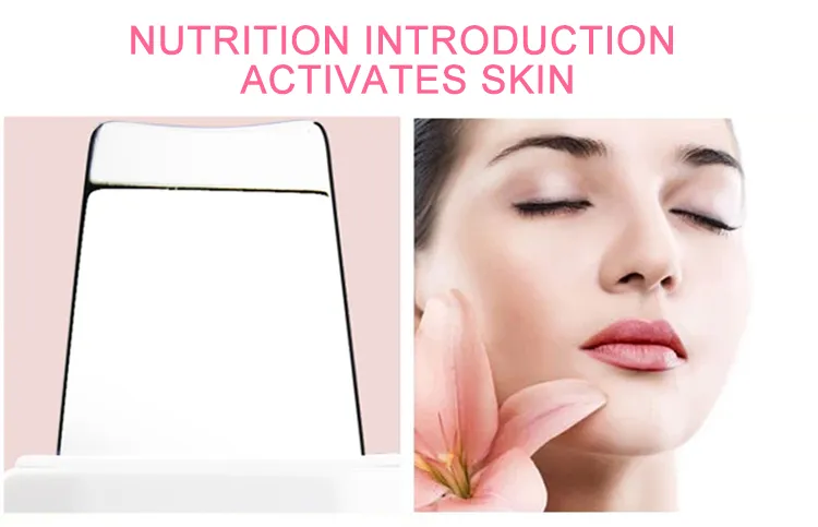 Mini Ultrasonic Skin Scrubber /Home Skin SPA Beauty Instrument