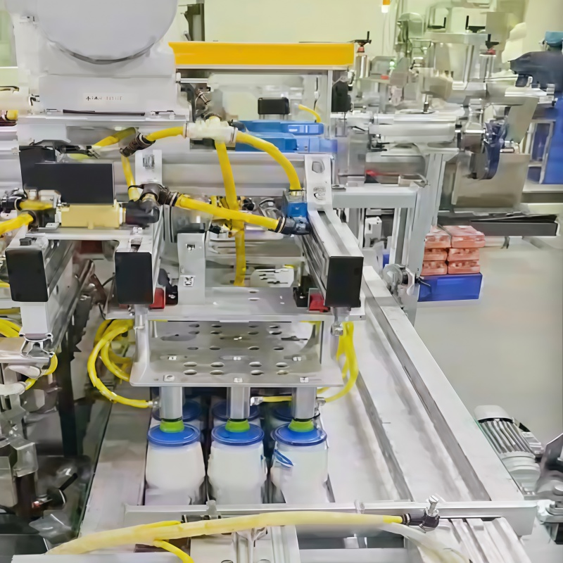 Automated Industrial Box Filling Case Packing Robot for E-Commerce Fulfillment