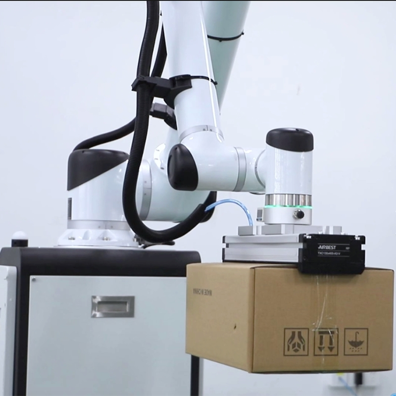 Flexible Collaborative Robot Huayan S50 Palletizing Human-Machine Collaboration for Warehouse and Production Line