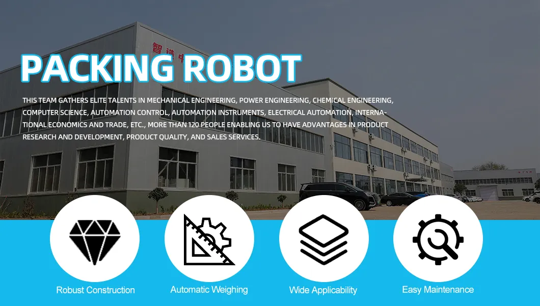 Industrial Case Packing Robot