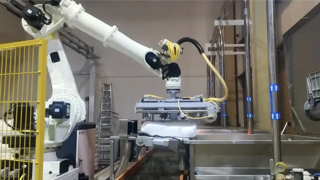 Automated Depalletizing 2