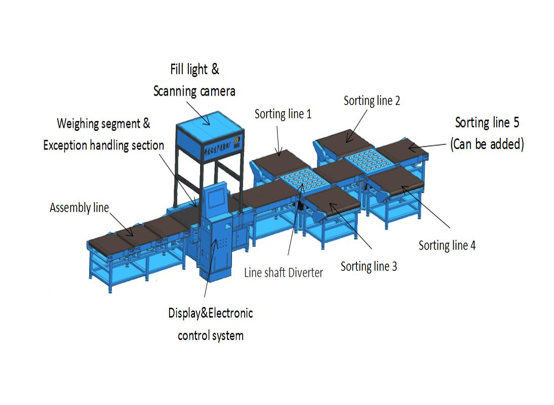 High Speed Disordered Bag Sorting Machine and Dws System
