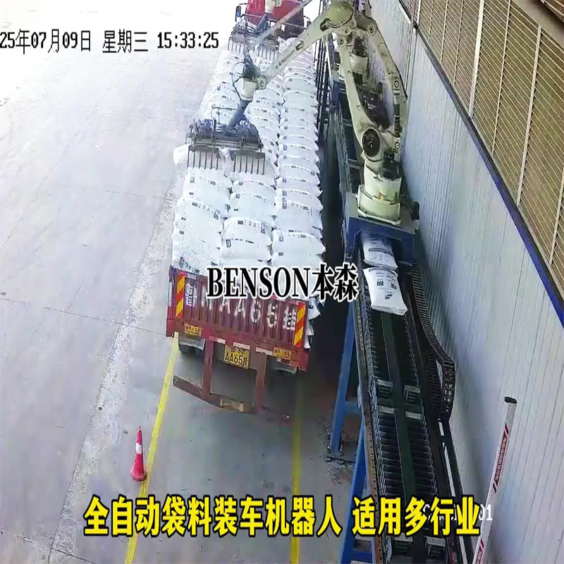 Professional Automated Warehousing Center Outbound Robotic Arm Loading Robot