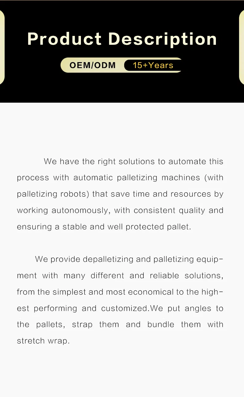 Robotic Palletizing System 2