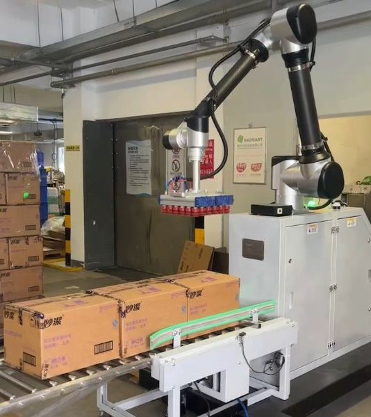 6 Axis Payload 40 Kg Collaborative Palletizing Robot Arm Cabot