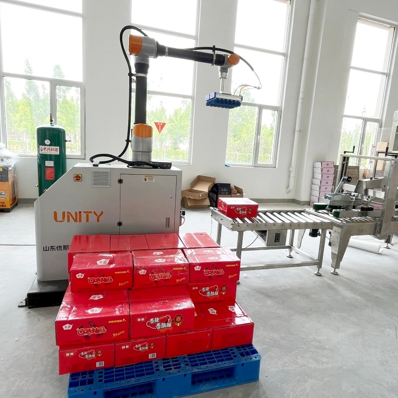 Durable 6 Axis Cobot Arm Collaborative Robot Palletizer for Streamlined Warehouse Operations