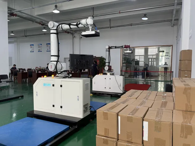 Palletizing Robot Arm