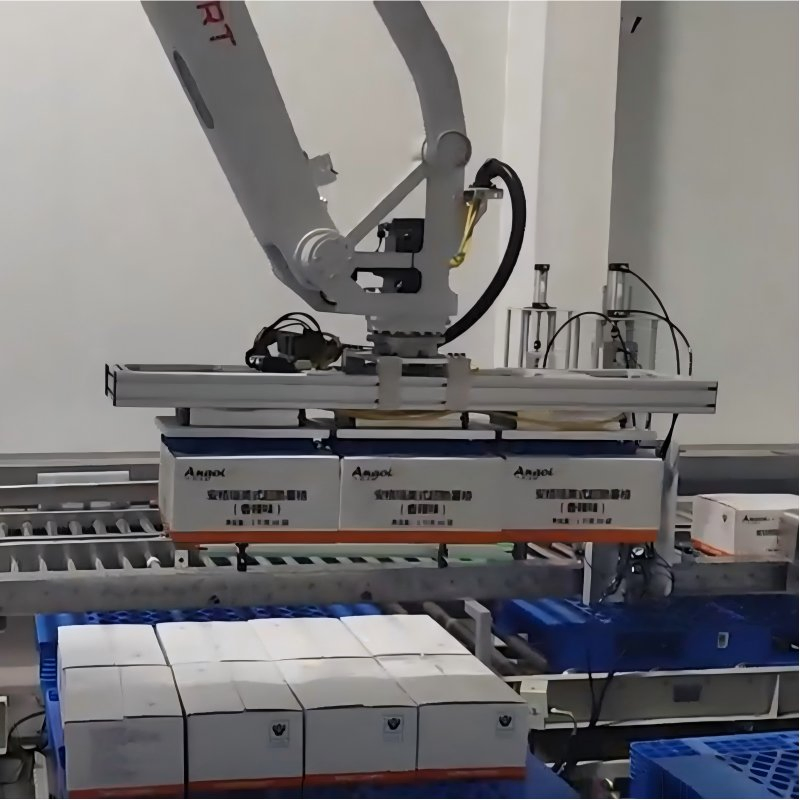 Automated Industrial Box Filling Case Packing Robot for E-Commerce Fulfillment