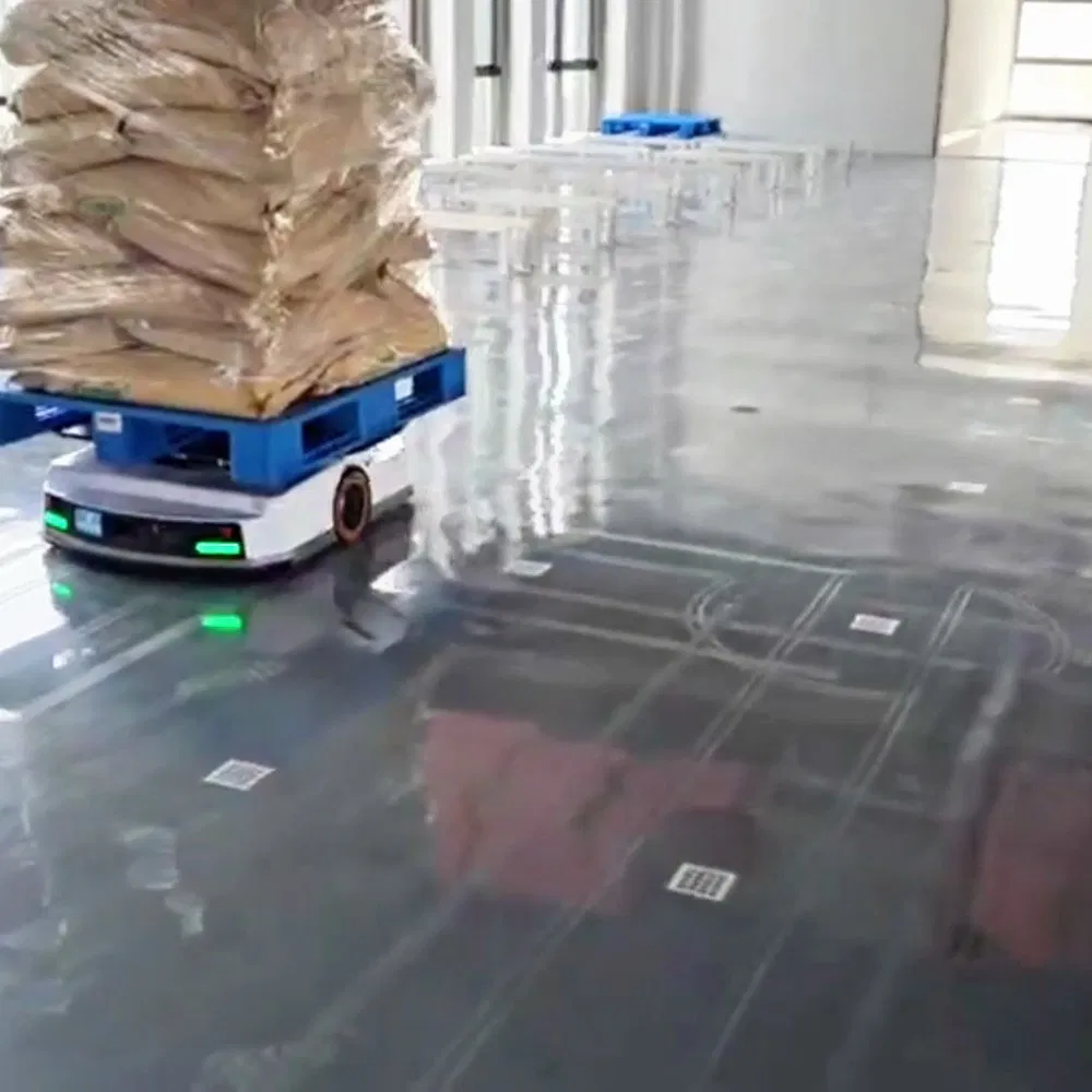 Warehouse Robot Solution for Flexible Goods Transfer and Sorting