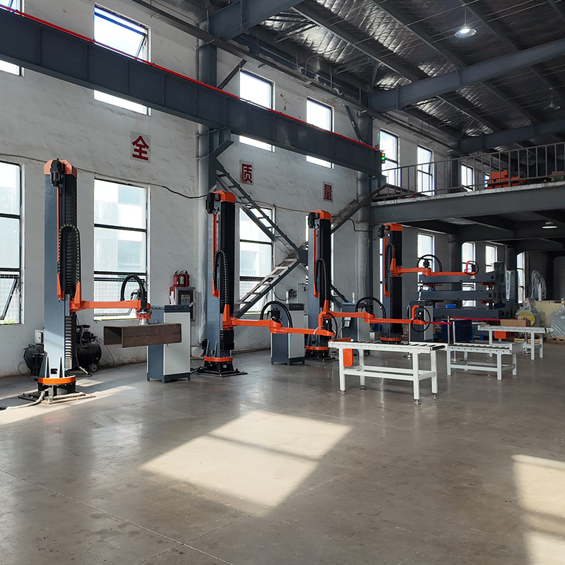 Factory Affordable Cost Combined Palletizing Depalletizing Robot in Russia