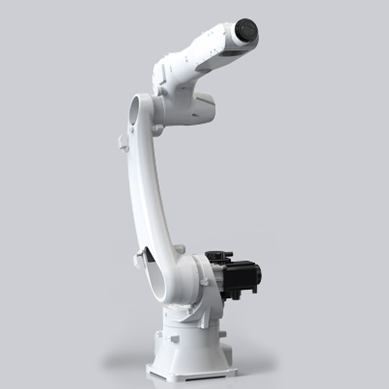 Industrial Robot for Logistics Warehousing Automatic Sorting Palletizing and Handling