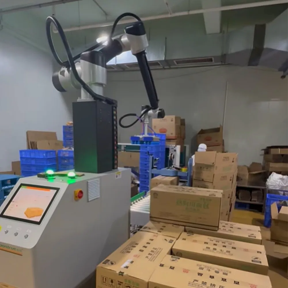 Gp 30 Compact Collaborative Robot with Easy Programming Dual Type Palletizing High Efficiency for E Commerce Warehouse