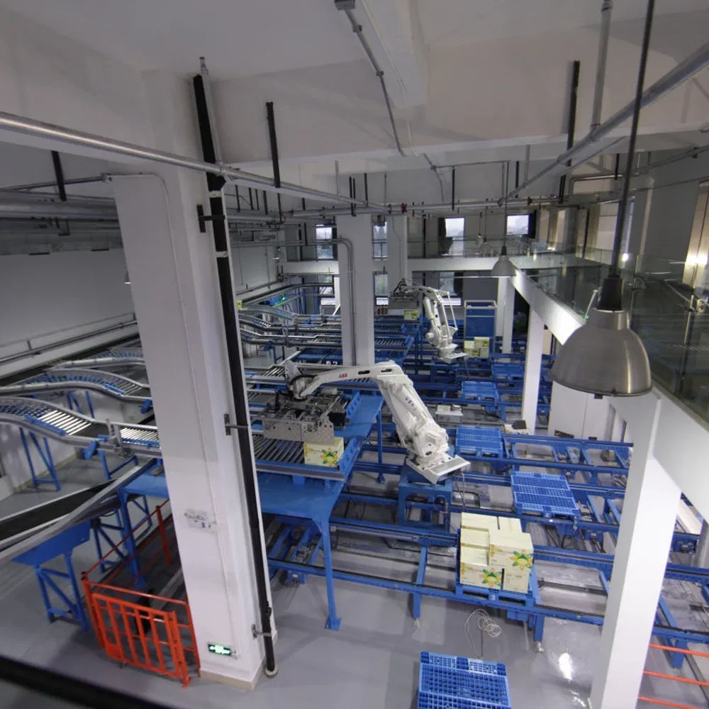 Customized Intelligent Robotic Shuttle Asrs System for Pharmacy Distribution Center