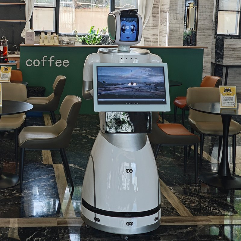 Multi-Language Support Voice Control Smart Navigation Yinyin Robot