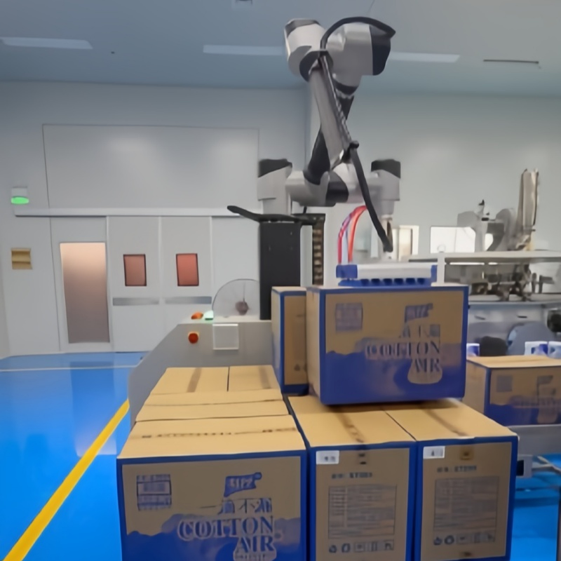 Reliable/Low Maintenance/Cost Effective/Low Payload Automatic Industrial Collaborative Palletizing Robot with Flexible Mounting/Collision Detection/Protective.